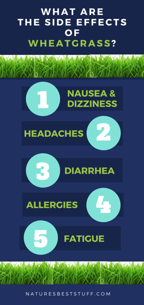 What are the side effects of wheatgrass