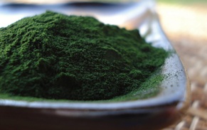 Marine Phytoplankton Health Benefits