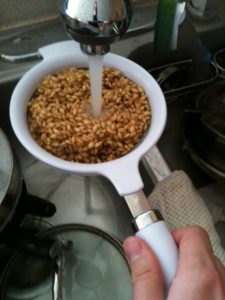 rinse wheatberries